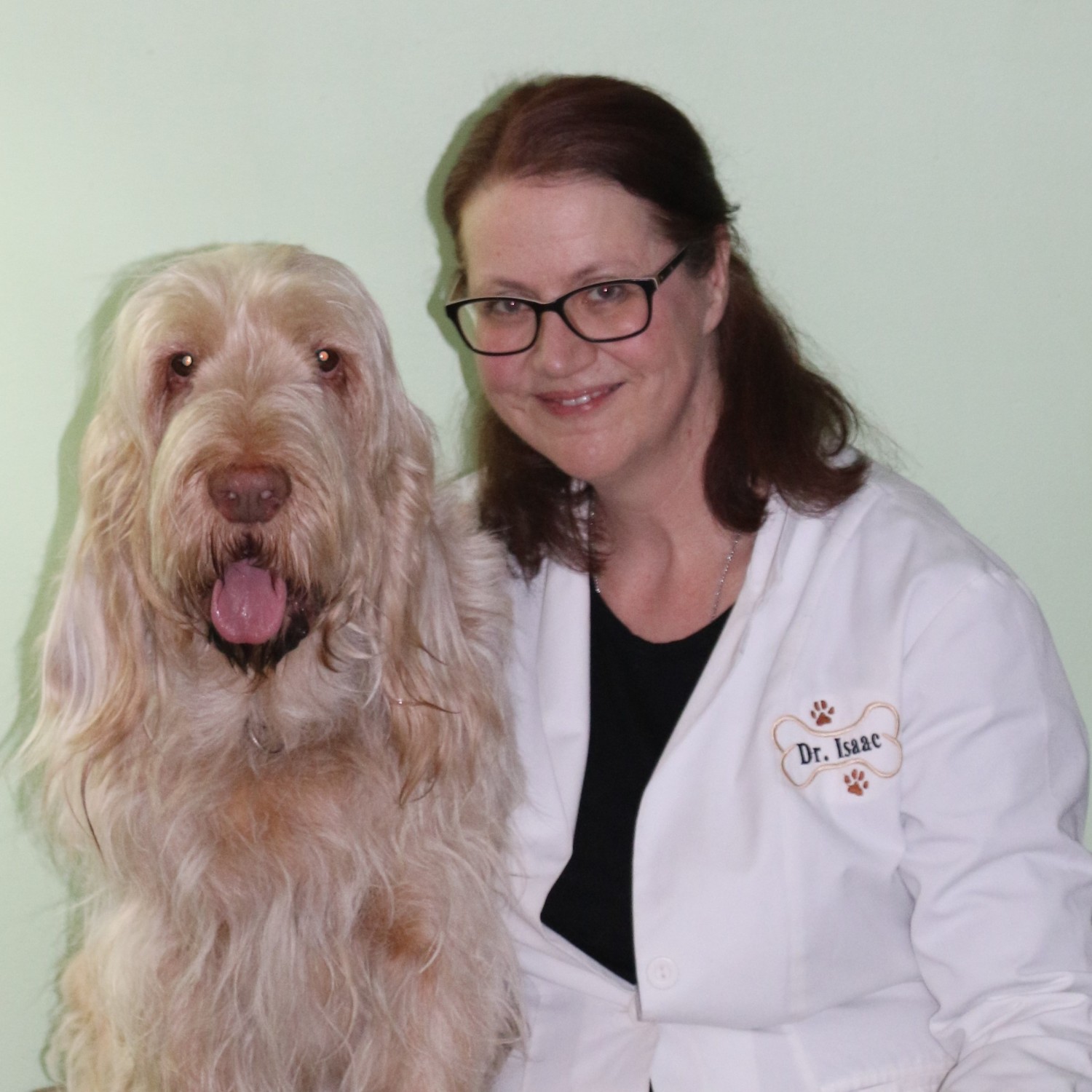 midland animal clinic midland mi Doreatha Gabriel